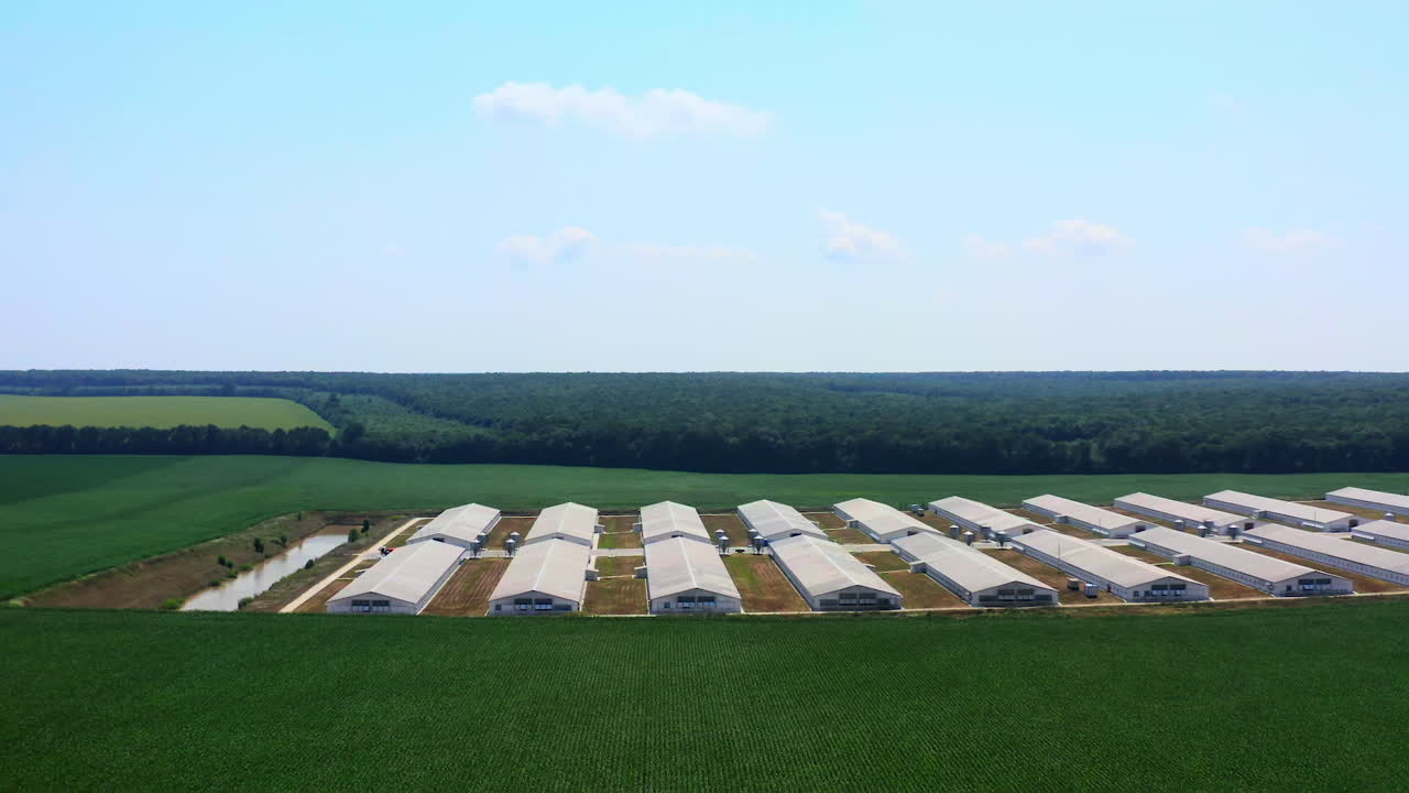 Farm on green landscape. Agriculture business on field in summer. Modern barn houses on beautiful nature background. Aerial view.