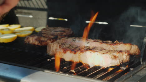 Meat-on-Barbecue-Grill