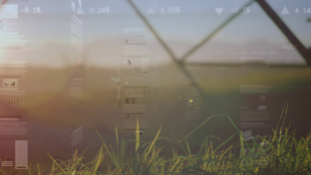 Sunrise light intensifying, translucent dashboards sliding over fence and grass, presenting data