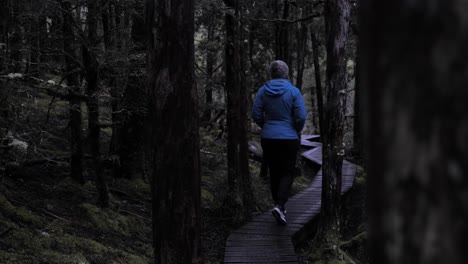 female in blue jacket walking along timber board walk amongst moody trees in dense, wet rain forest on overcast day into distance