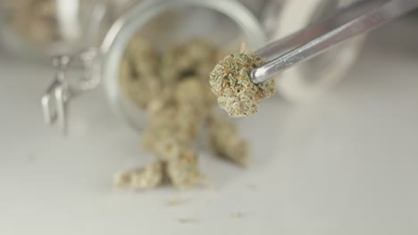 dried cannabis buds in glass jar with tongs
