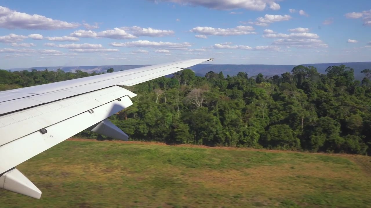 Udsigt fra vinduet til Amazonas junglen i Brasilien