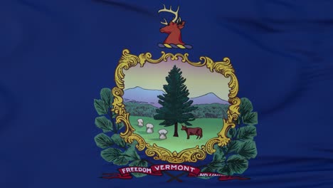 flag of vermont state, region of the united states, waving at wind