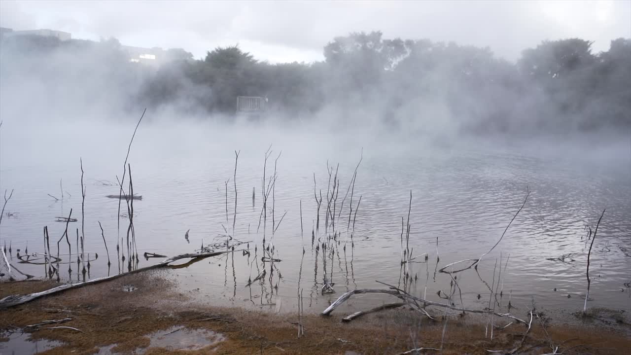 Geothermal lake with rising steam and dead trees