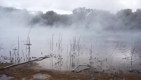 geothermal lake with rising steam and dead trees