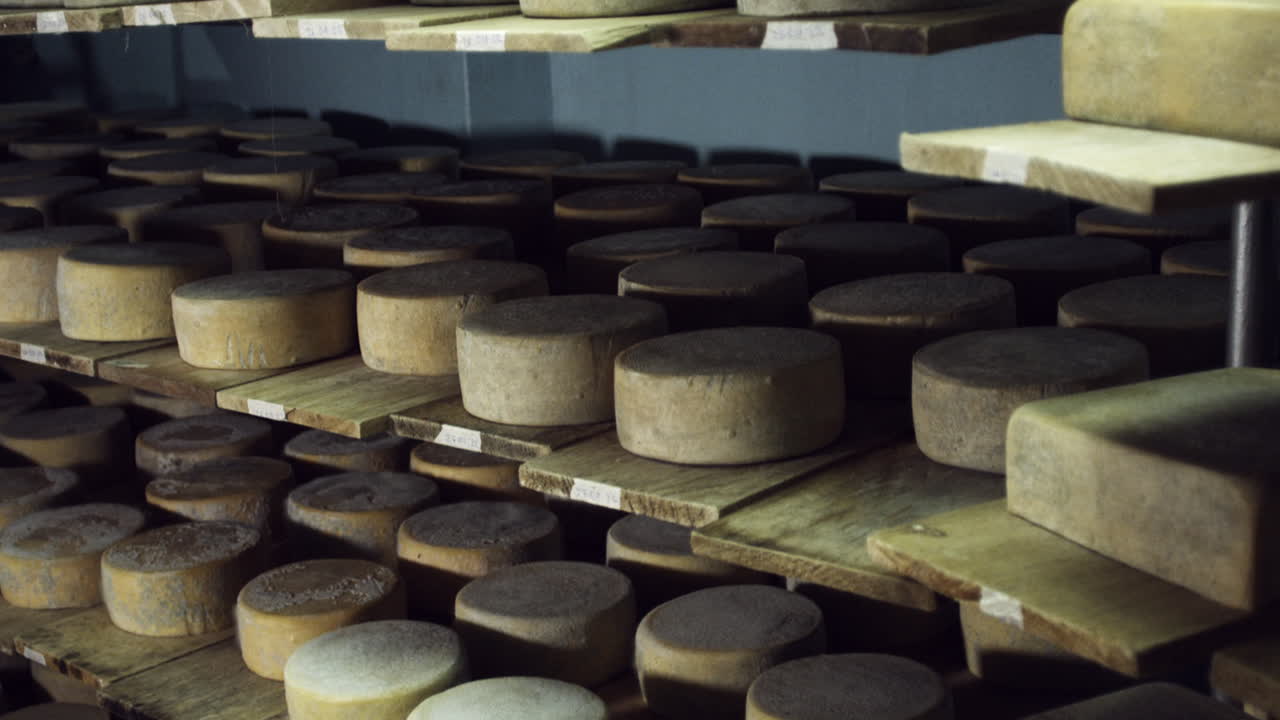 movimiento de quesos en la bodega