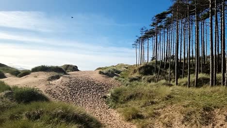 Panorámica-A-Través-Del-Borde-Del-Bosque-Arbolado,-Dunas-De-Arena-Costeras-Cubiertas-De-Hierba-En-La-Playa-Blue-Sky-En-Anglesey