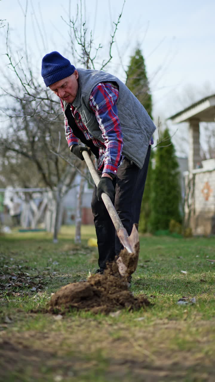 Man makes a pit in the ground. Preparing the soil for tree planting. Vertical video.