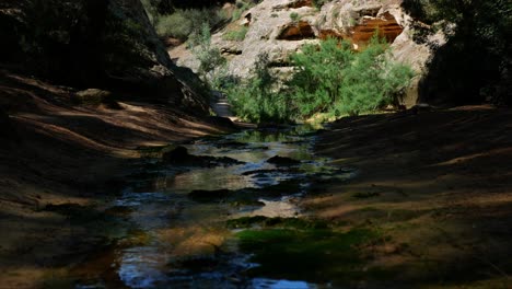 Lecho-De-Un-Arroyo-Sombreado-Con-Agua-Que-Fluye-Por-El-Bosque-De-Montaña---Vista-Estática