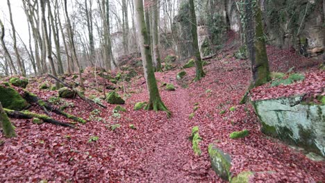 Aerial-shot-of-hiking-trail-of-Mullerthal-in-Luxembourg-late-fall---aerial-drone-shot-going-upwards