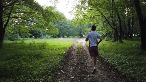 年轻的白人男性在夏天在森林里跑步