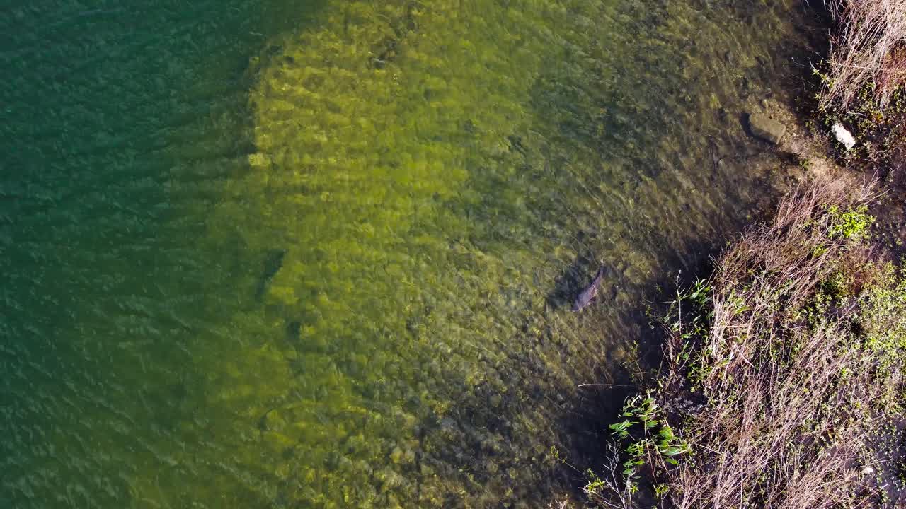 Ripresa aerea di un lago con isola