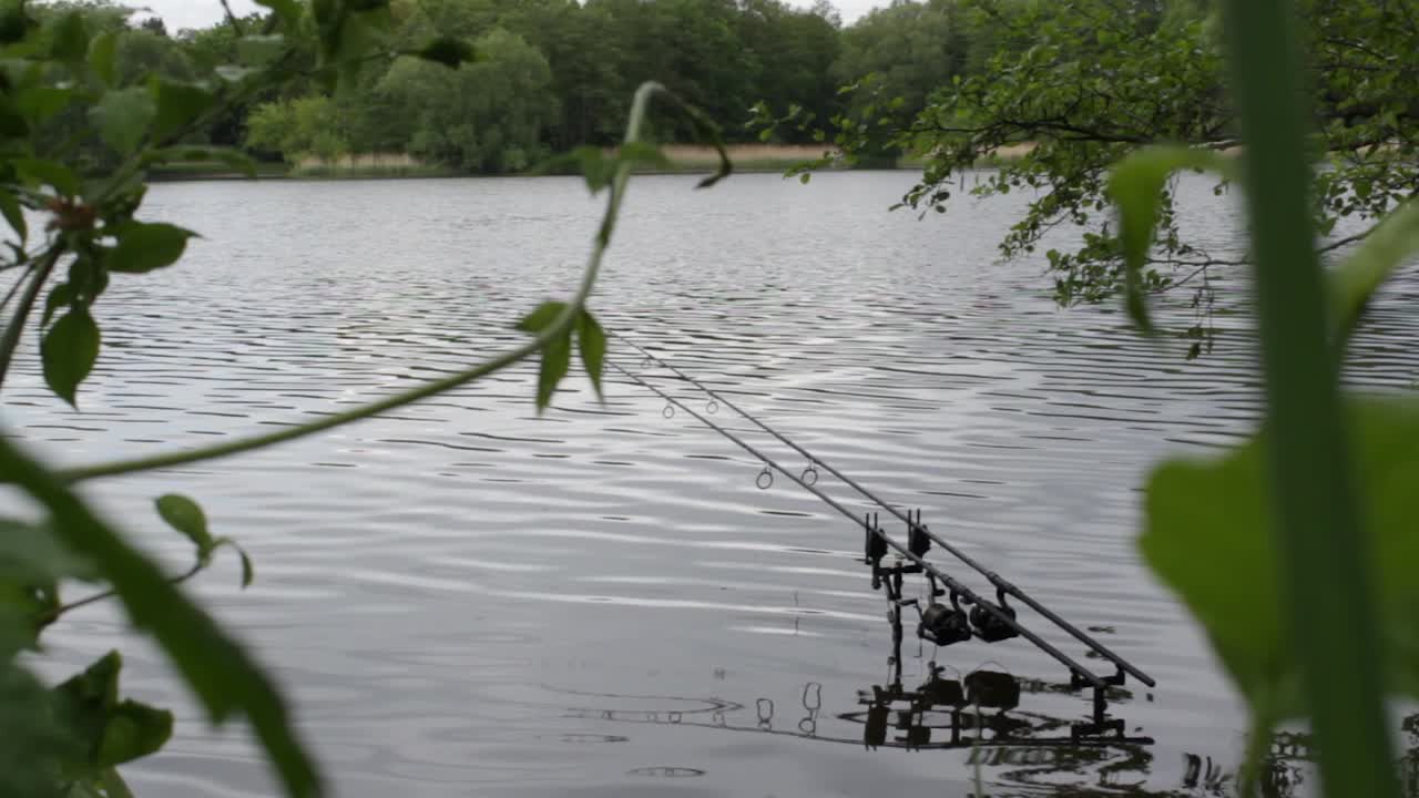 Two fishing rod´s in the water with plants around