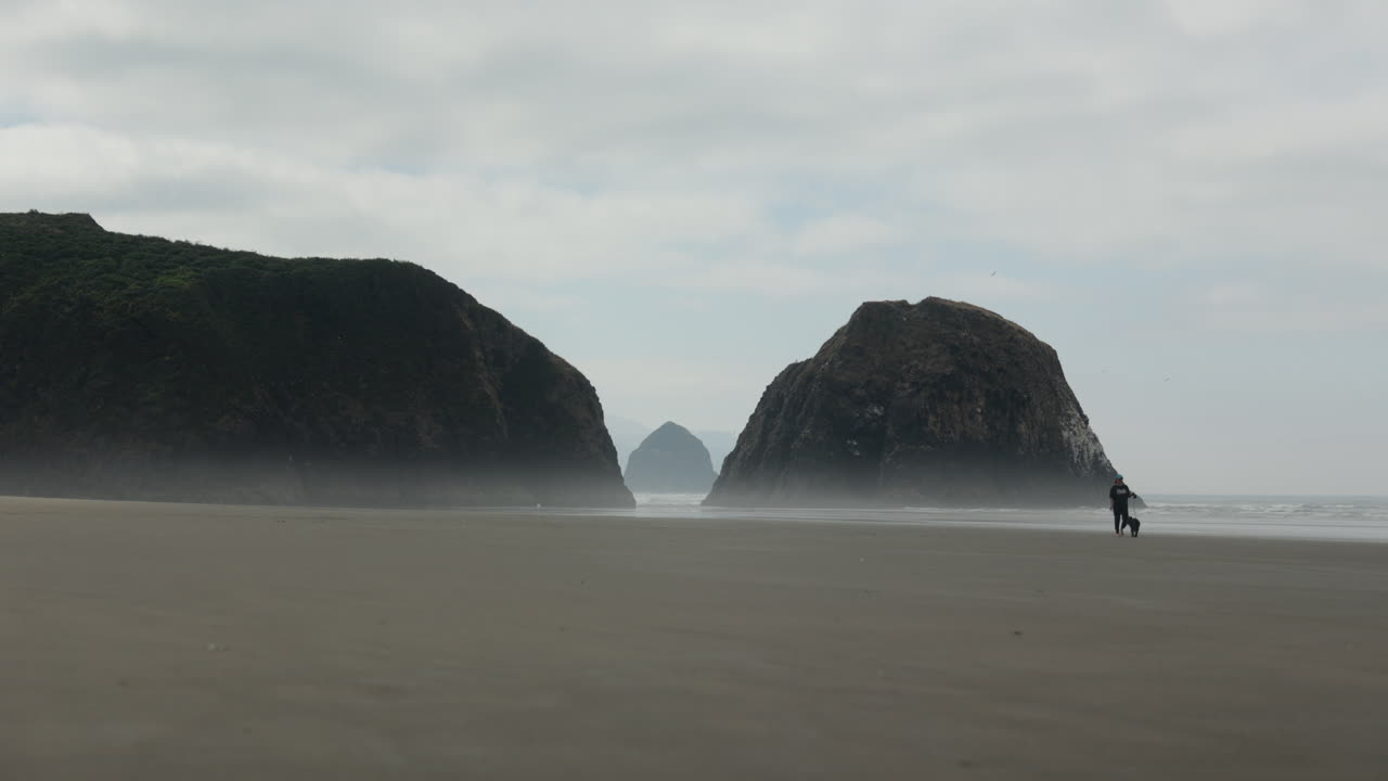 평화로운 날 초승달 해변에서 개를 산책시키는 소녀