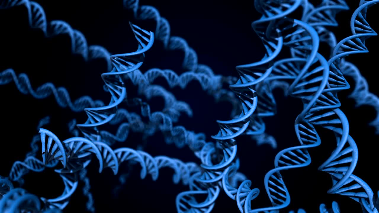 código de adn. abstracto 3d marco de alambre poligonal dna molécula hélice en espiral. animación en bucle.