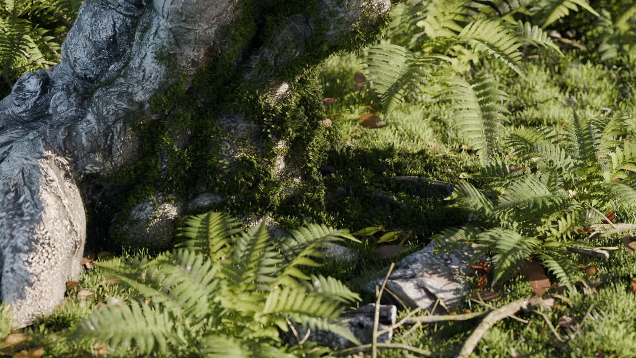 Tree with Ferns and Moss