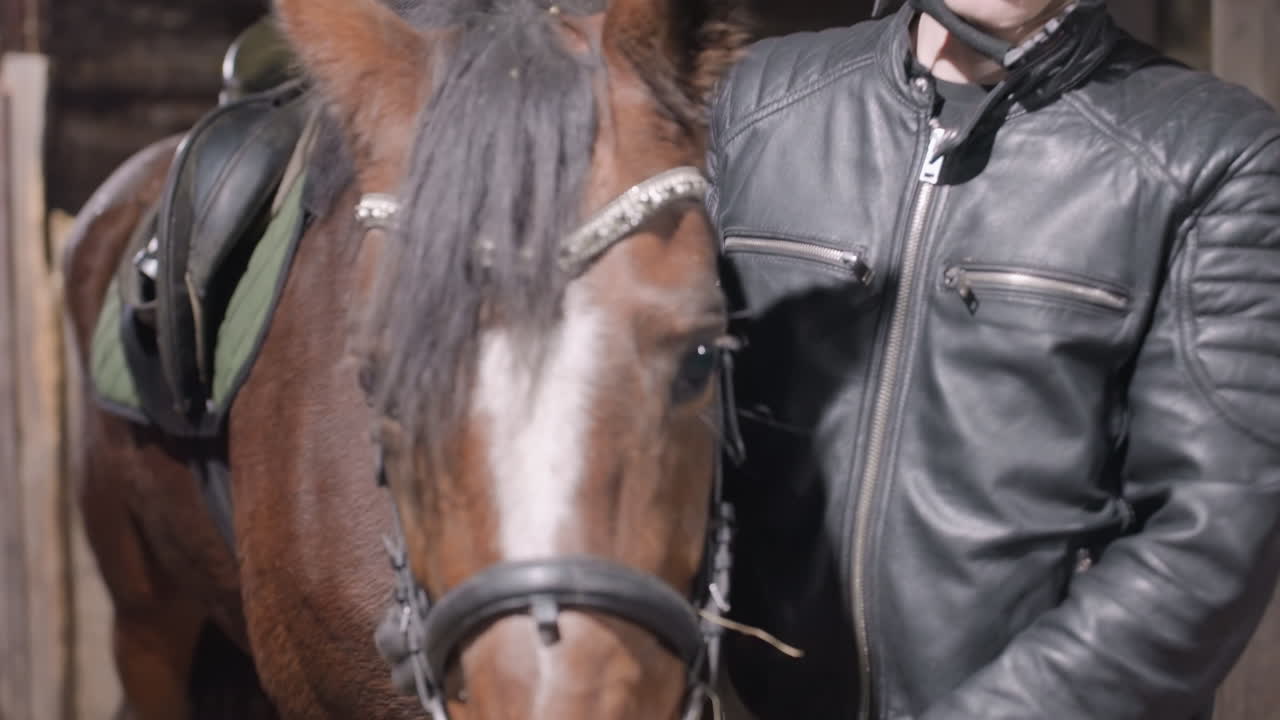 Cavaliere con cavallo in scuderia che prepara la lezione, sessione di addestramento in tandem, cavaliere con casco e giacca di pelle che sistema briglia e sella, primo piano di muso e zoccoli, luce rustica della stalla, calmo e concentrato.