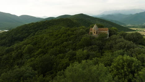 flying over vast forest towards john the baptist church of zemo alvani, georgia, aerial