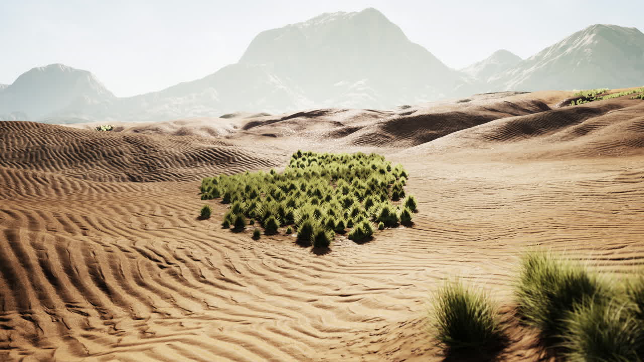 모래 언덕과 산이 있는 사막 풍경