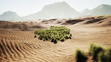 desert landscape with sand dunes and mountains