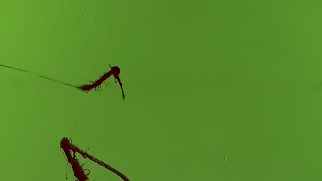 chroma keying effect of a  blood splatter on the screen shot