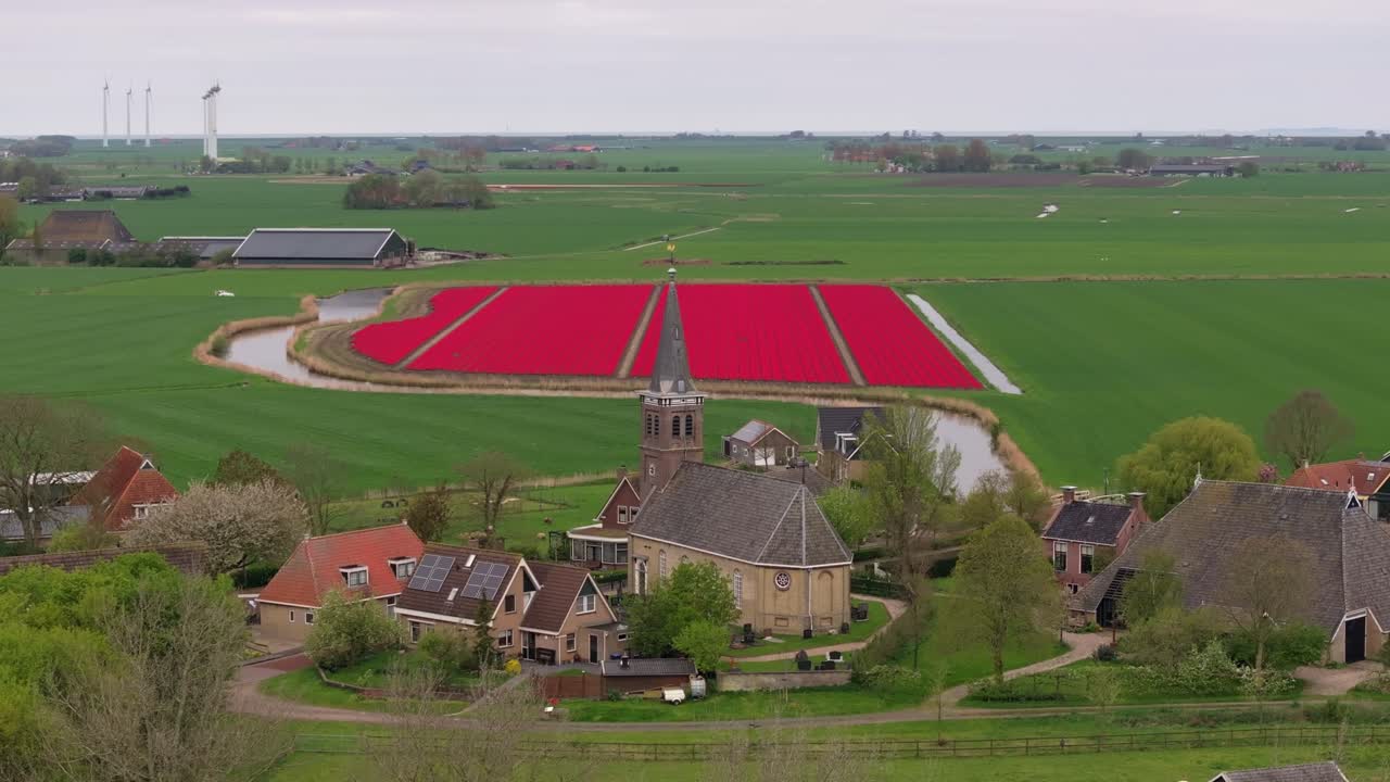 Vista aerea di una chiesa rurale immersa nei campi di tulipani, Schettens, Paesi Bassi.