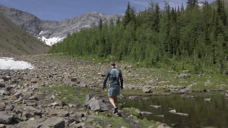 hiker on trail by pond pine forest rockies kananaskis alberta canada