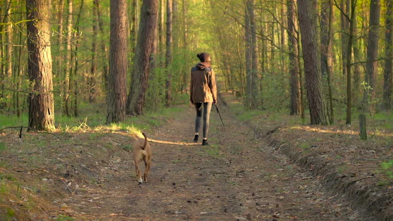 Girl and her pet dog walk in beautiful spring forest