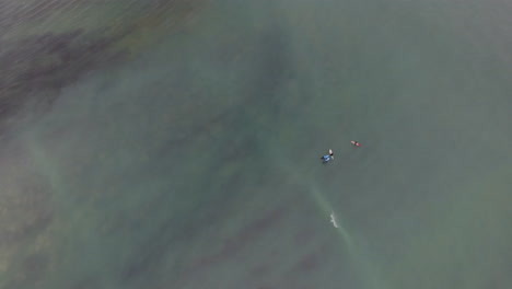 Aerial-of-surfers-in-ocean-along-coast-of-South-Africa