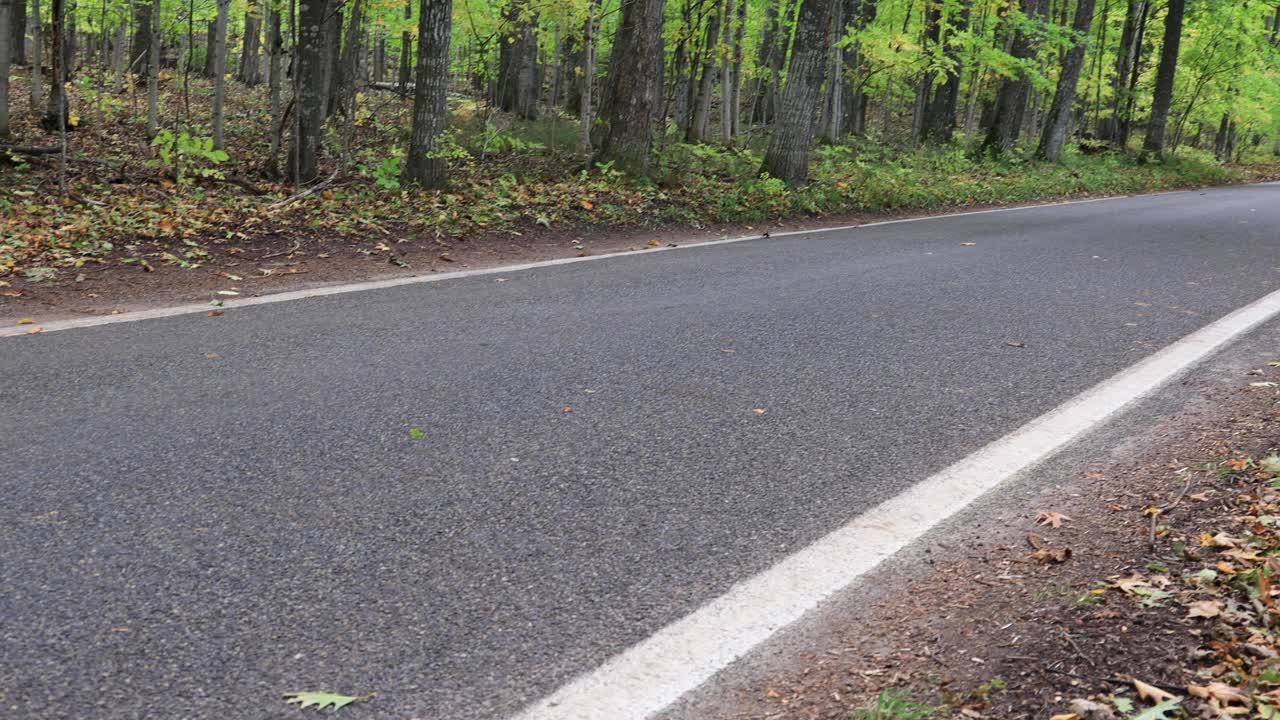 Scenic Drive Through a Forest Road