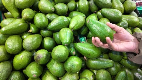 persona que sostiene un aguacate en un mercado