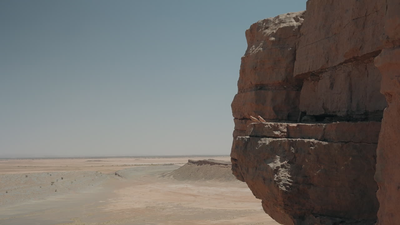 Piccoli uccelli che riposano su una sporgenza rocciosa erosa della scogliera di Gara Medouar con una pianura desertica piatta che si estende fino all'orizzonte.