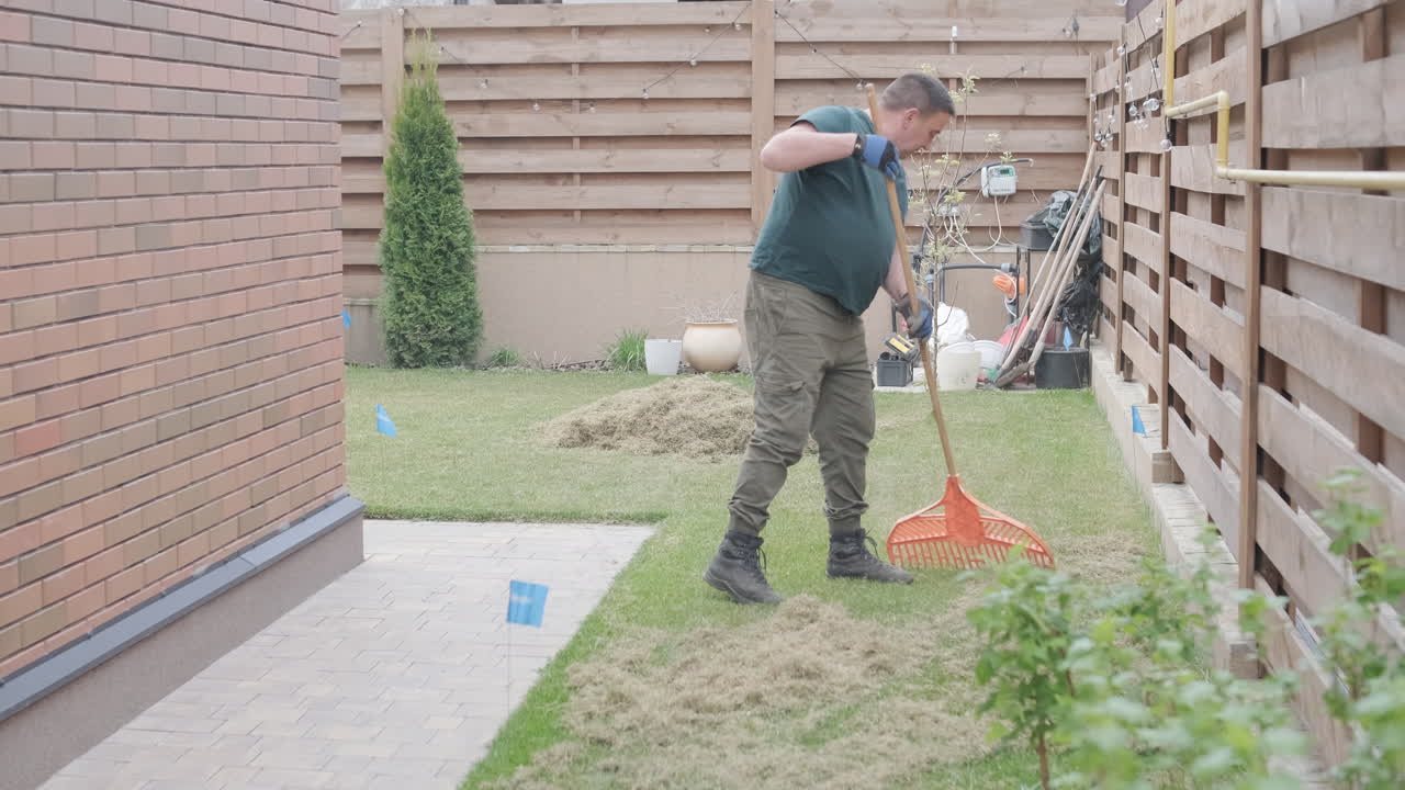 Man Raking Dry Grass from a Lawn in a Backyard