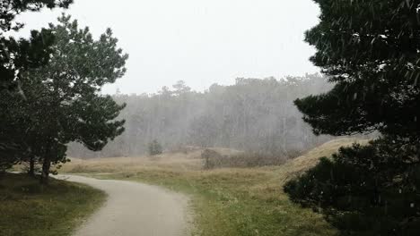 Ein-Schneesturm-In-Den-Dünen-Und-Im-Wald-Von-Ameland,-Niederlande