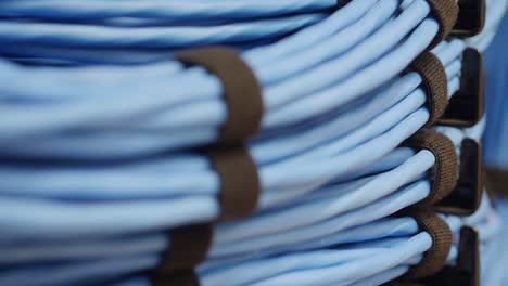 primer plano de bobinas de cables de servidor de red azules enrollados