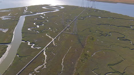 Power-Lines-Cut-Through-Marine-Wetlands