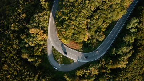 road trip through an autumn coloured forest