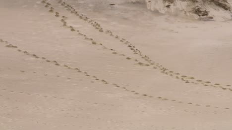 Dunas-Del-Cabo