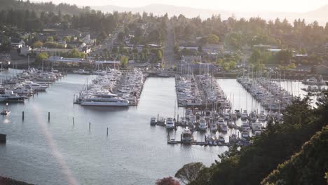 Yachten-Und-Segelboote-Vor-Anker-In-Cap-Sante-Marina-In-Anacortes,-Washington,-Vereinigte-Staaten