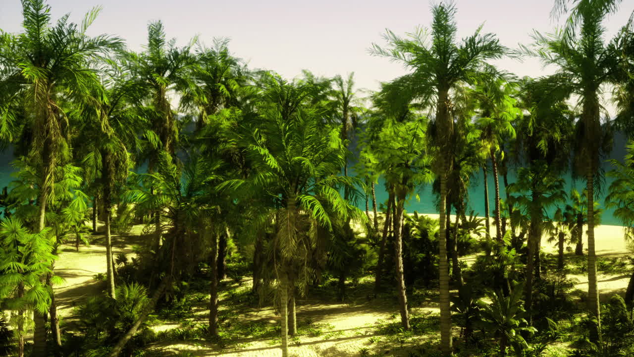 Lush tropical landscape with palm trees by a serene blue body of water