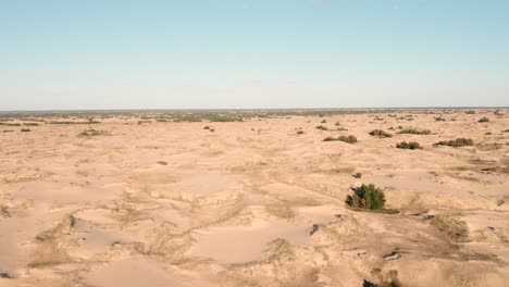 aerial view of a desert, sand dunes. texture of the surface of desert nature