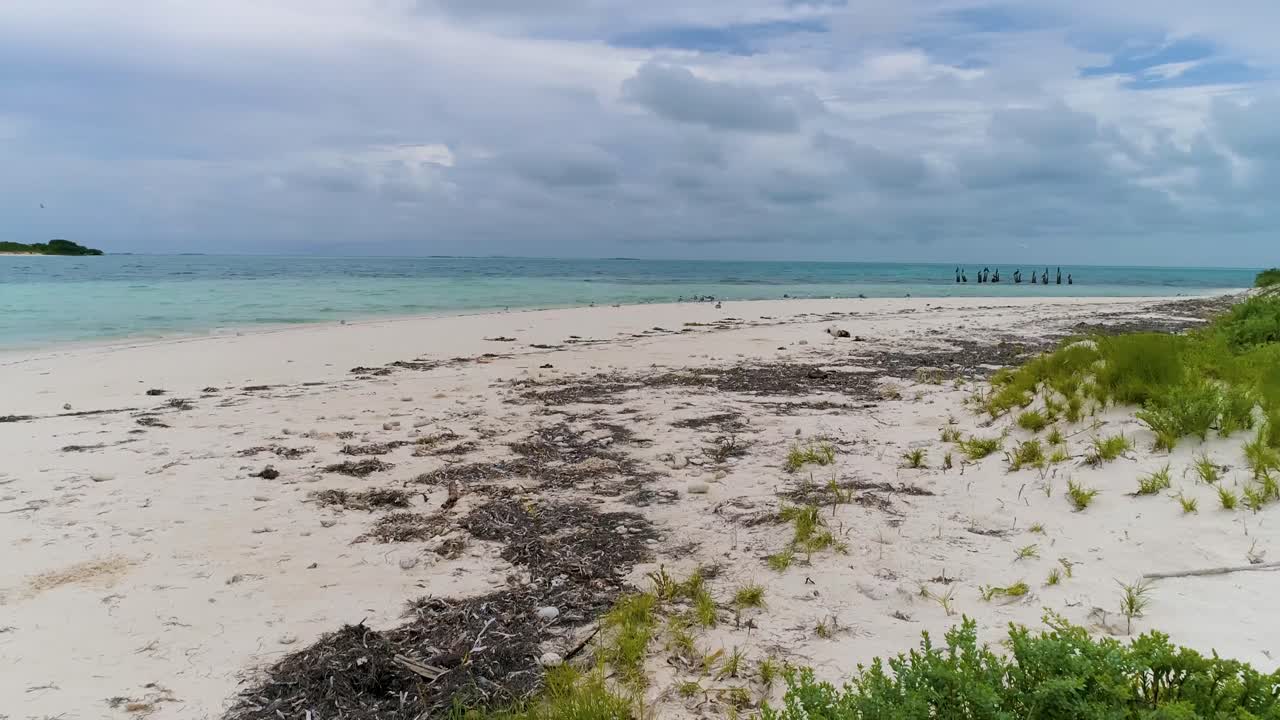 앞면 에 모래 언덕 잔디 가 있는 조용 한 해변 장면, 열대 섬 로스 로케스
