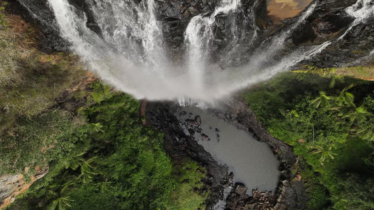 vista única con vistas a las cataratas de purling brook parque nacional springbrook costa de oro queensland australia