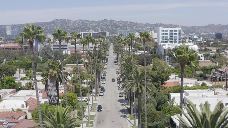 Sorvolo aereo tra le palme su una strada di Beverly Hills durante il pomeriggio.