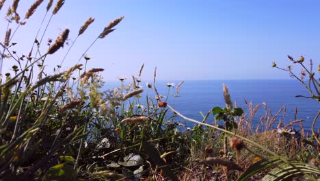 vista estática desde la costa norte de españa