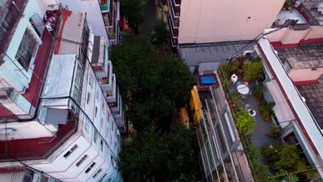 vista aerea boom down de balcon con un grupo de amigos y otro con plantas, jardin en casa, calles con arboles a los lados, almagro, buenos aires