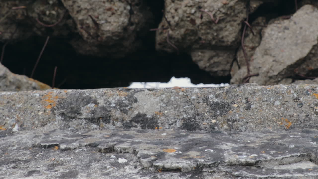 노르망디에서 버려진 wwii 커 설치 클로즈업