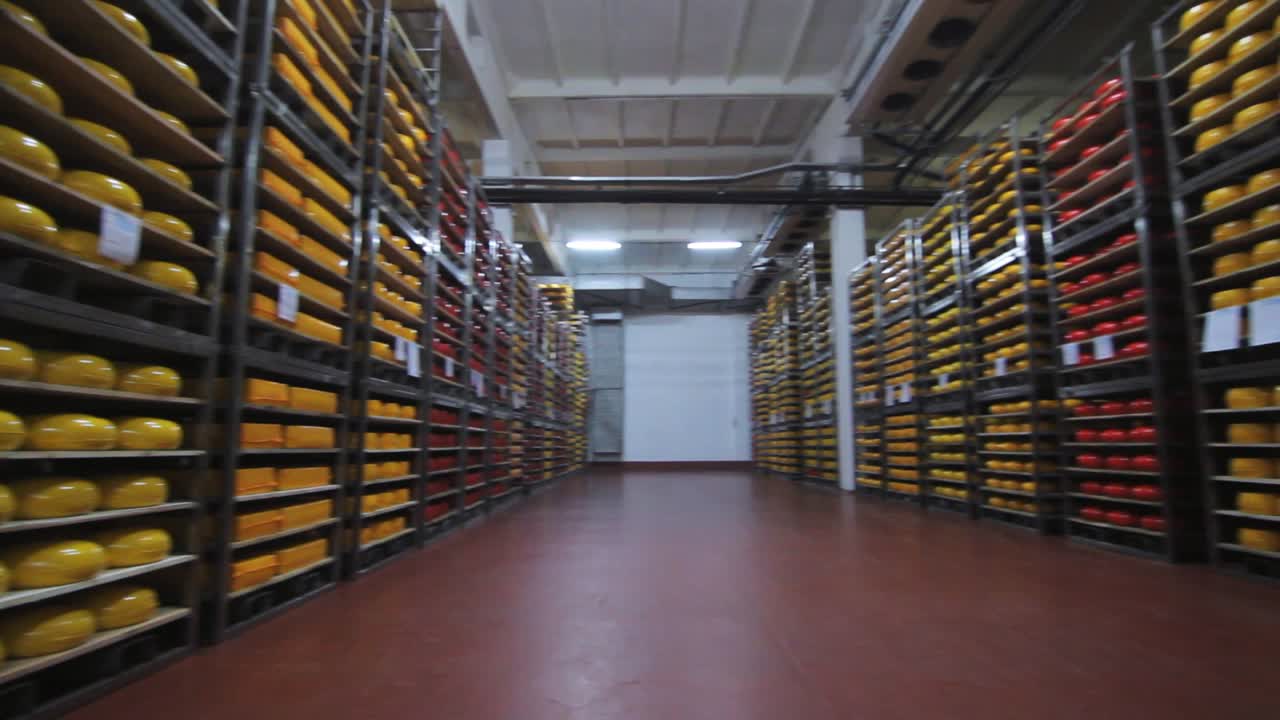 Dairy factory warehouse. Cheese rounds on steel racks