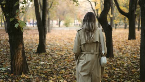 Rear-view-of-and-elegant-woman-walking-by-autumn-park
