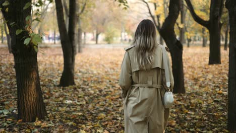 rear view of and elegant woman walking by autumn park